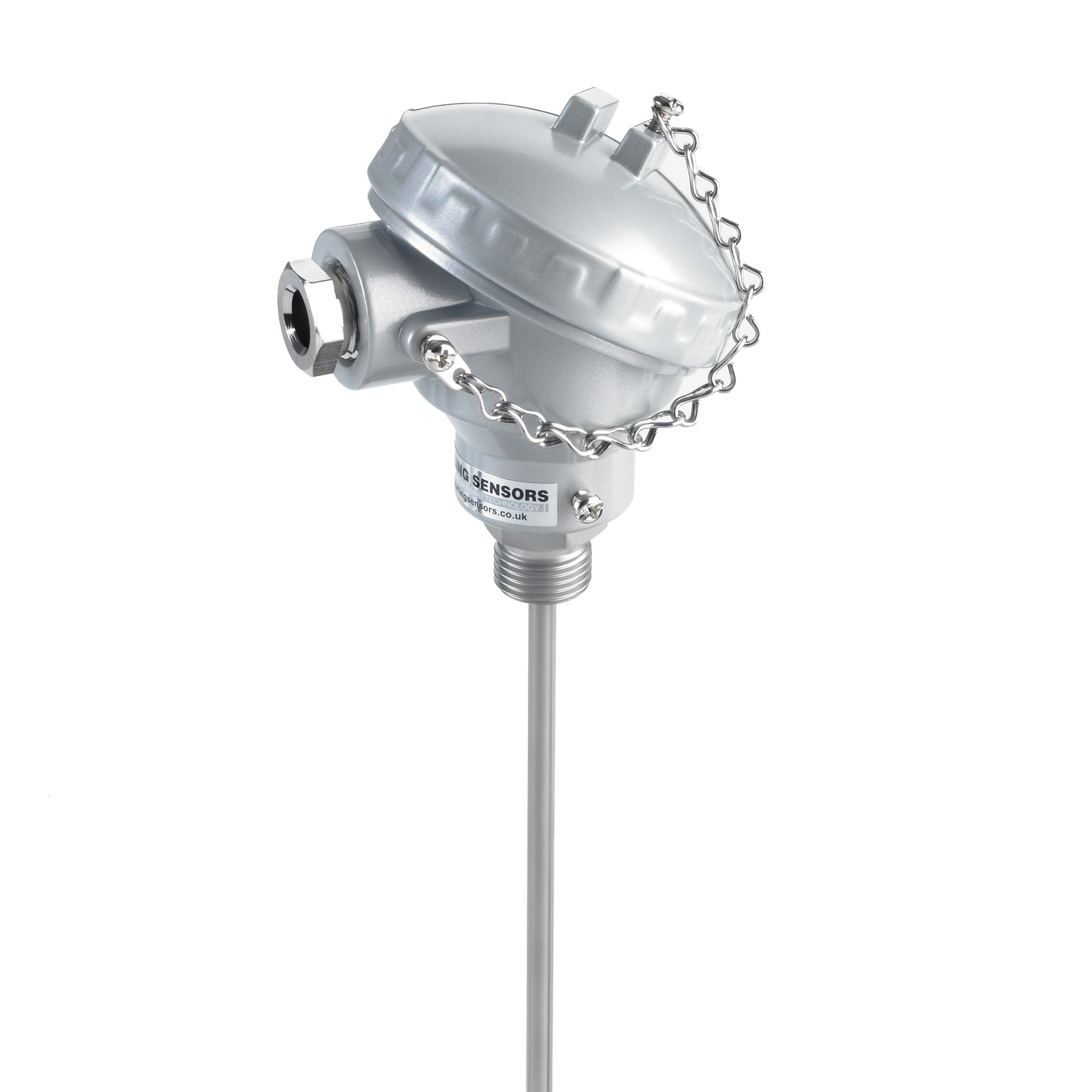High Temperature Pt100 RTD Probe with Process Thread, Mineral Insulated, 600C