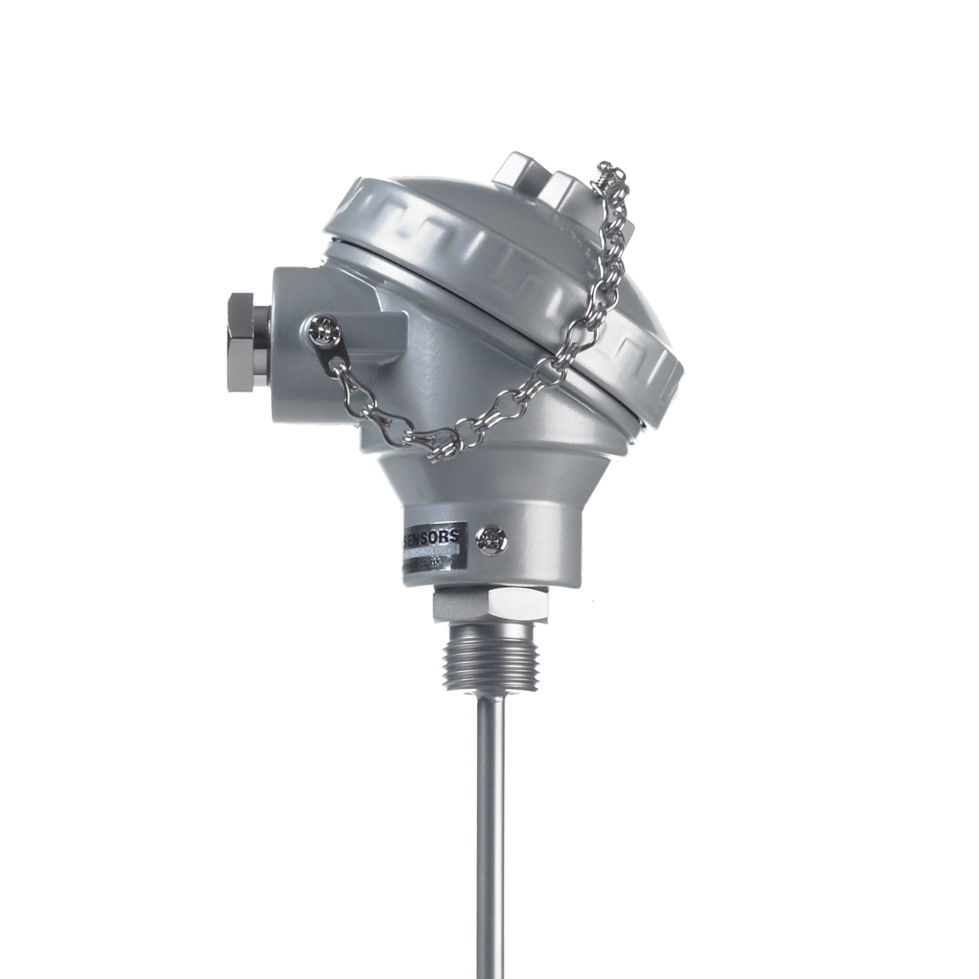 High Temperature Pt100 RTD Probe with Process Thread, Mineral Insulated, 600C