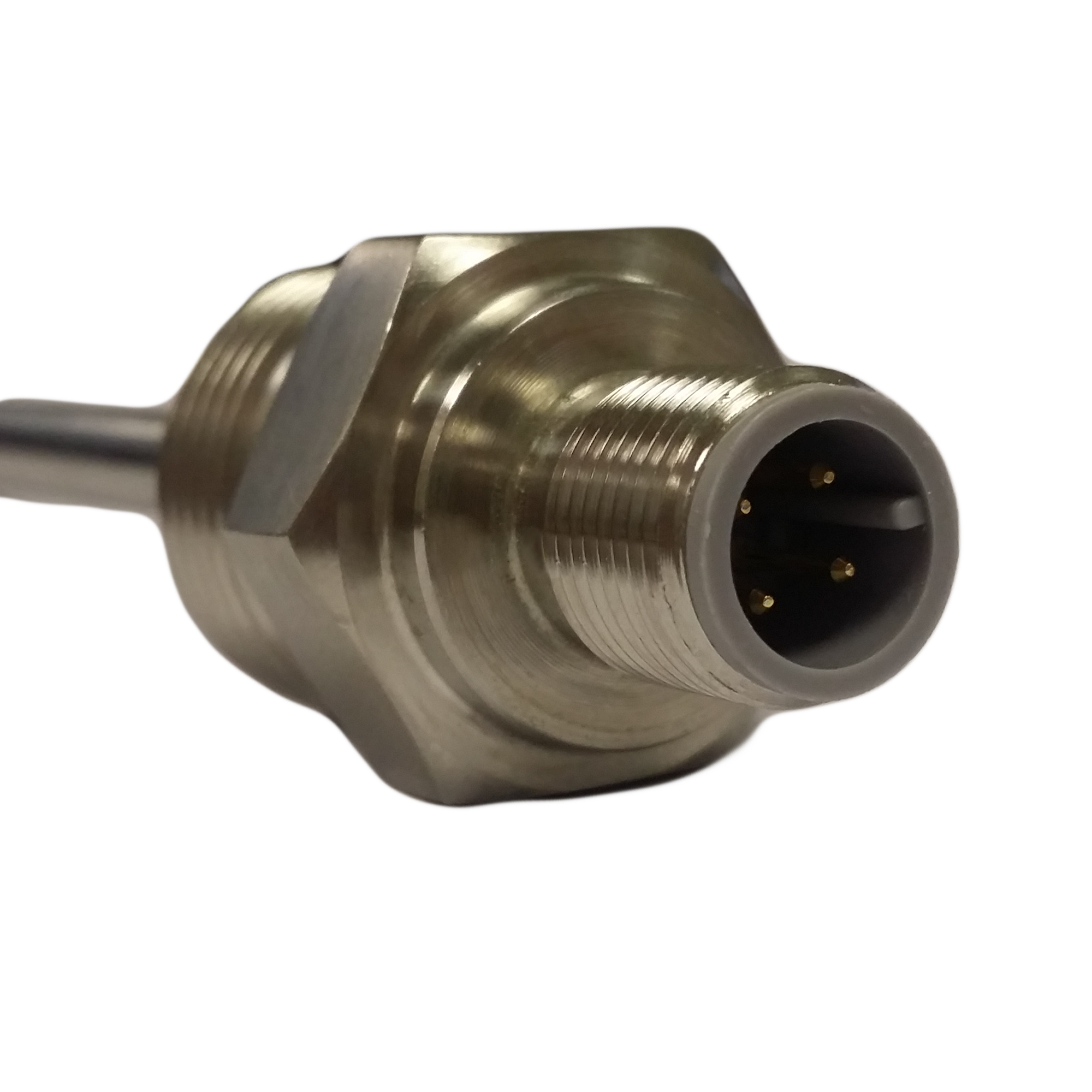 RTD Pt100 Sensor with M12 Connector (250°C)